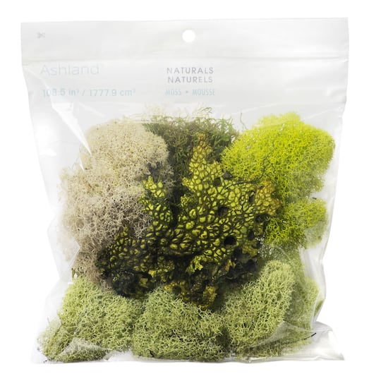 6 Pack: Moss Variety Pack by Ashland&#xAE;